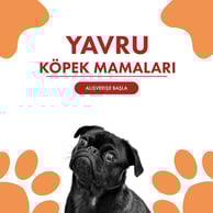 Yavru Köpek Mamaları